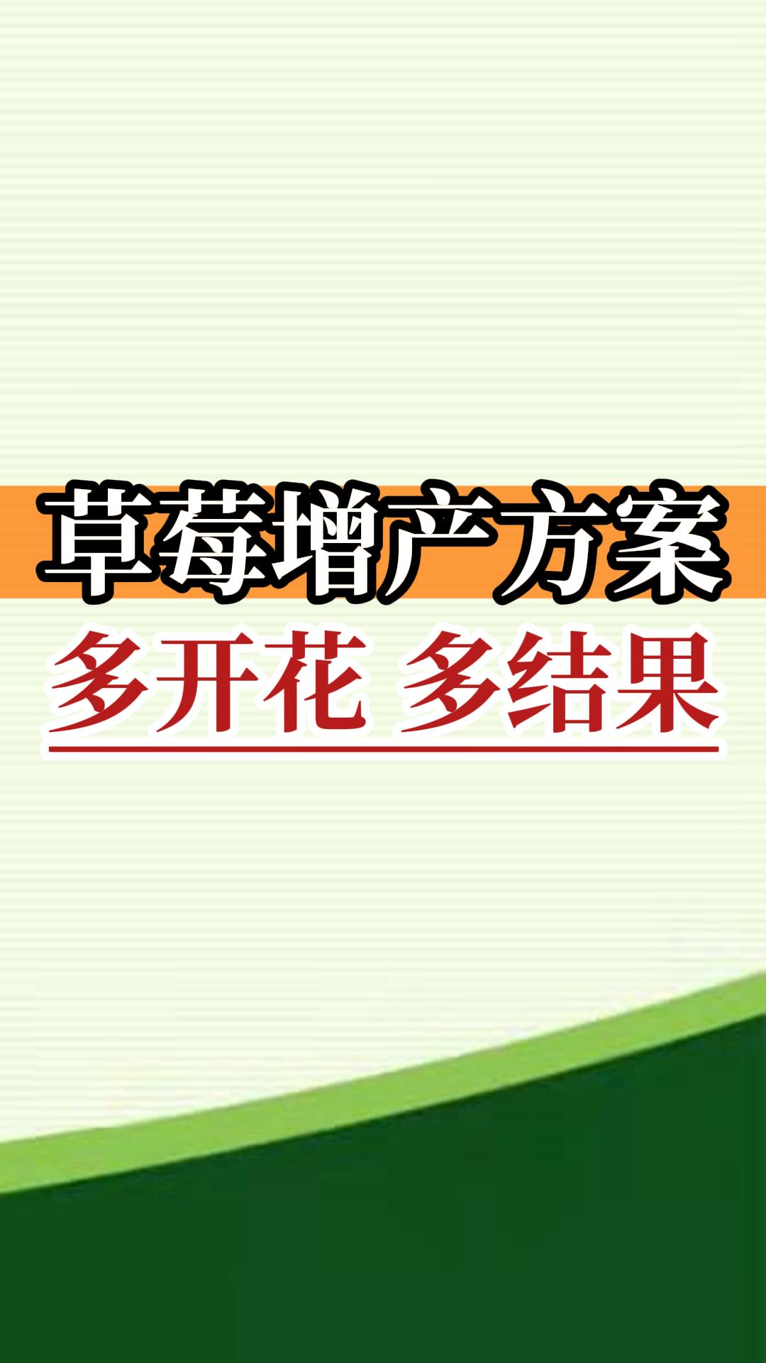 草莓增產(chǎn)方案 多開(kāi)花 多結(jié)果