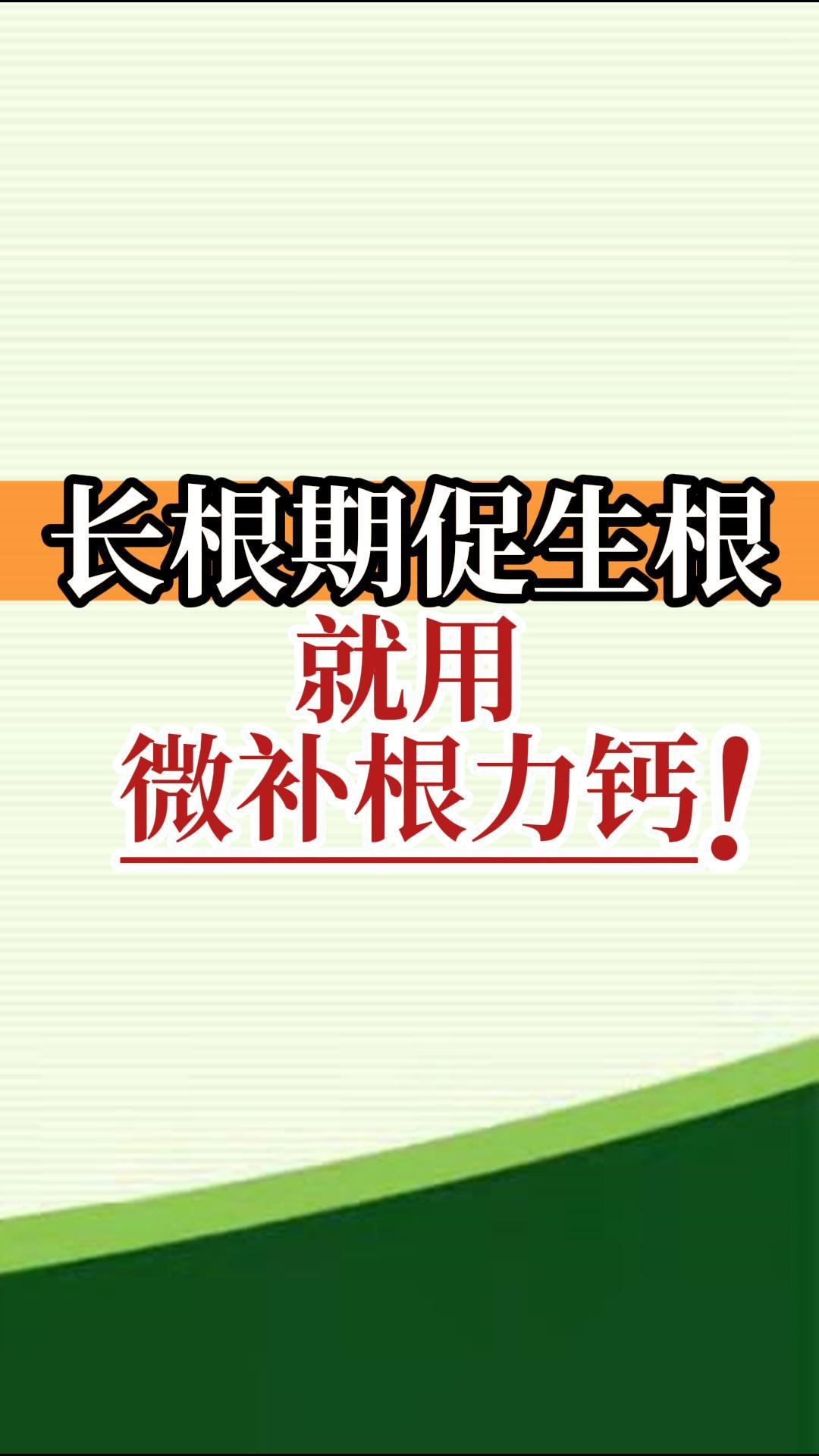 長根期促生根就用微補(bǔ)根力鈣！