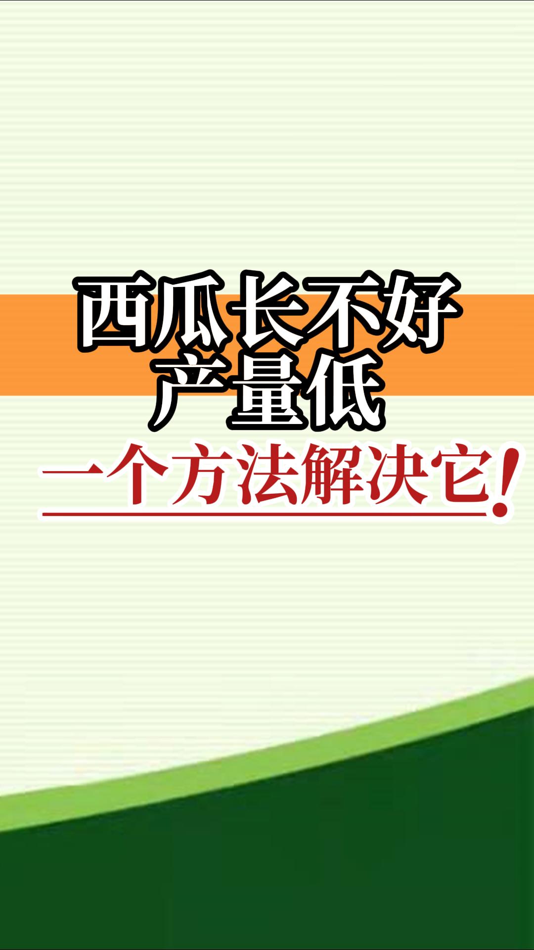 西瓜長不好產(chǎn)量低？