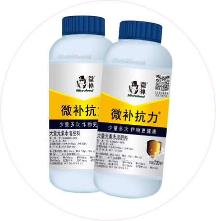 如何做好冬季清園，減少來年病蟲害影響