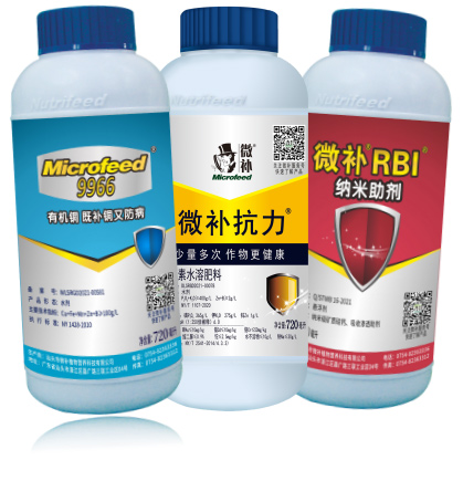 如何做好冬季清園，減少來年病蟲害影響