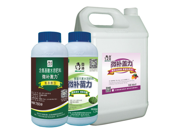 讓作物安全過冬的實用小妙招，速看