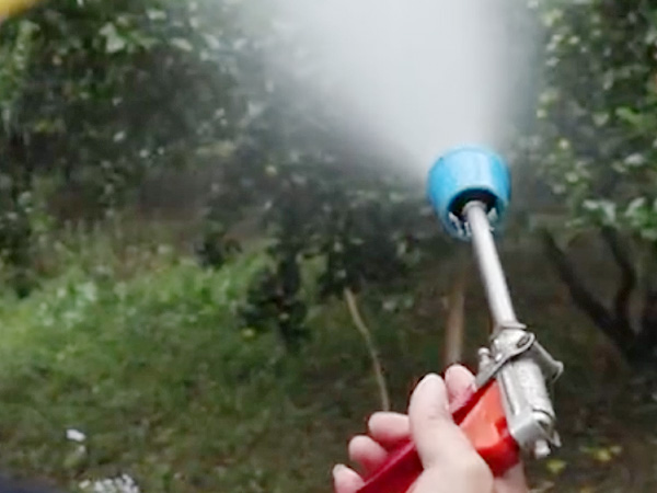 如何做好冬季清園，減少來年病蟲害影響