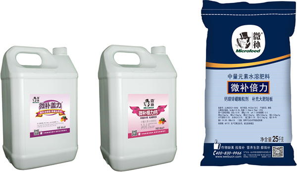 讓作物安全過冬的實用小妙招，速看