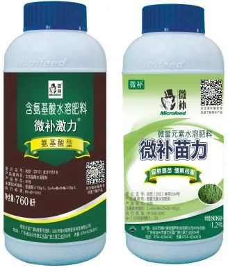 讓作物安全過冬的實用小妙招，速看