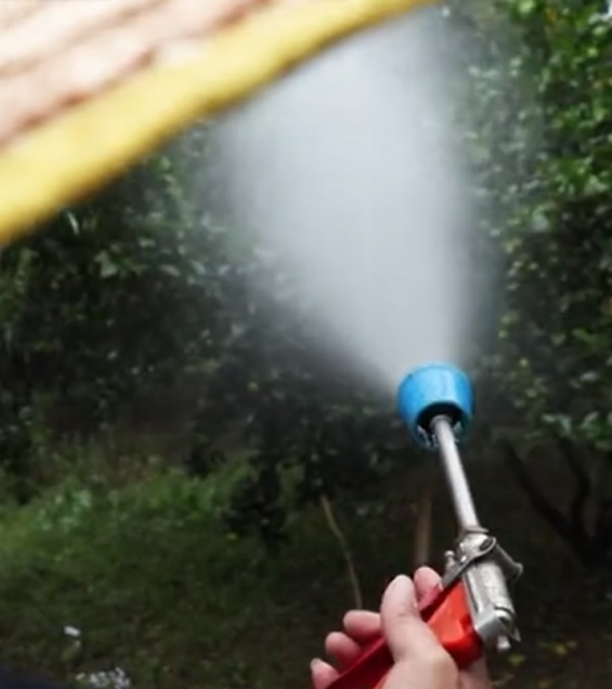 如何做好冬季清園，減少來年病蟲害影響