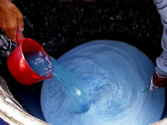 如何做好冬季清園，減少來年病蟲害影響