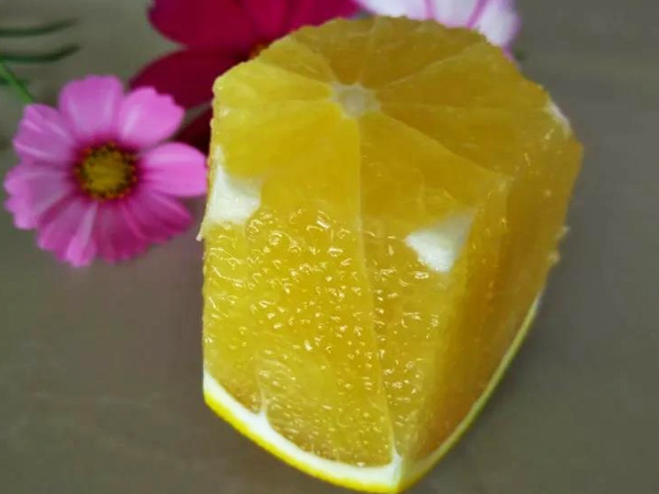 震驚！施秋肥還會(huì)影響果實(shí)賣價(jià)？