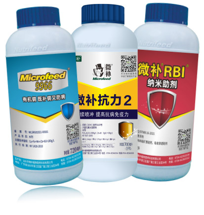 蔬菜秋季管理攻略