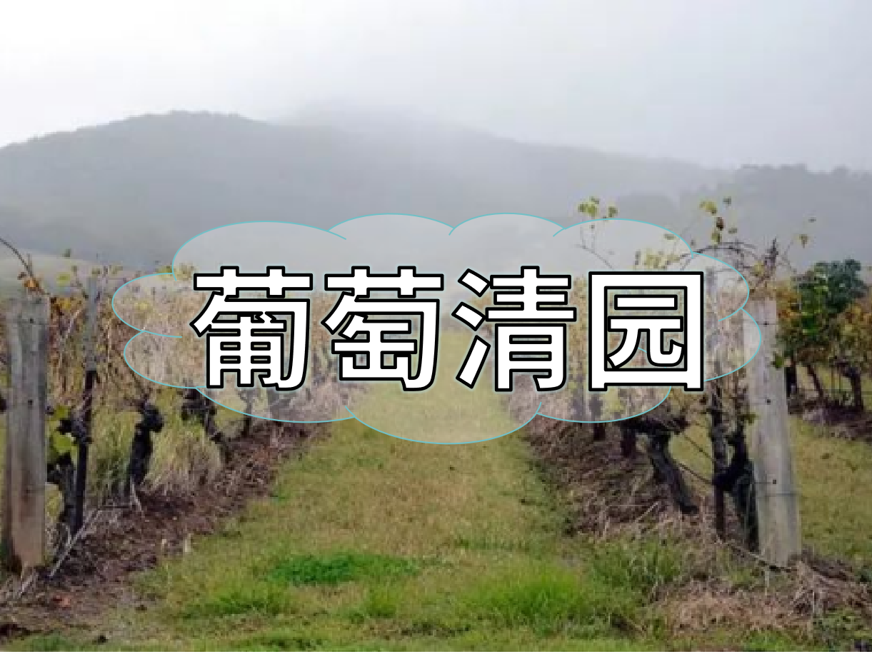 葡萄清園怎么進(jìn)行？