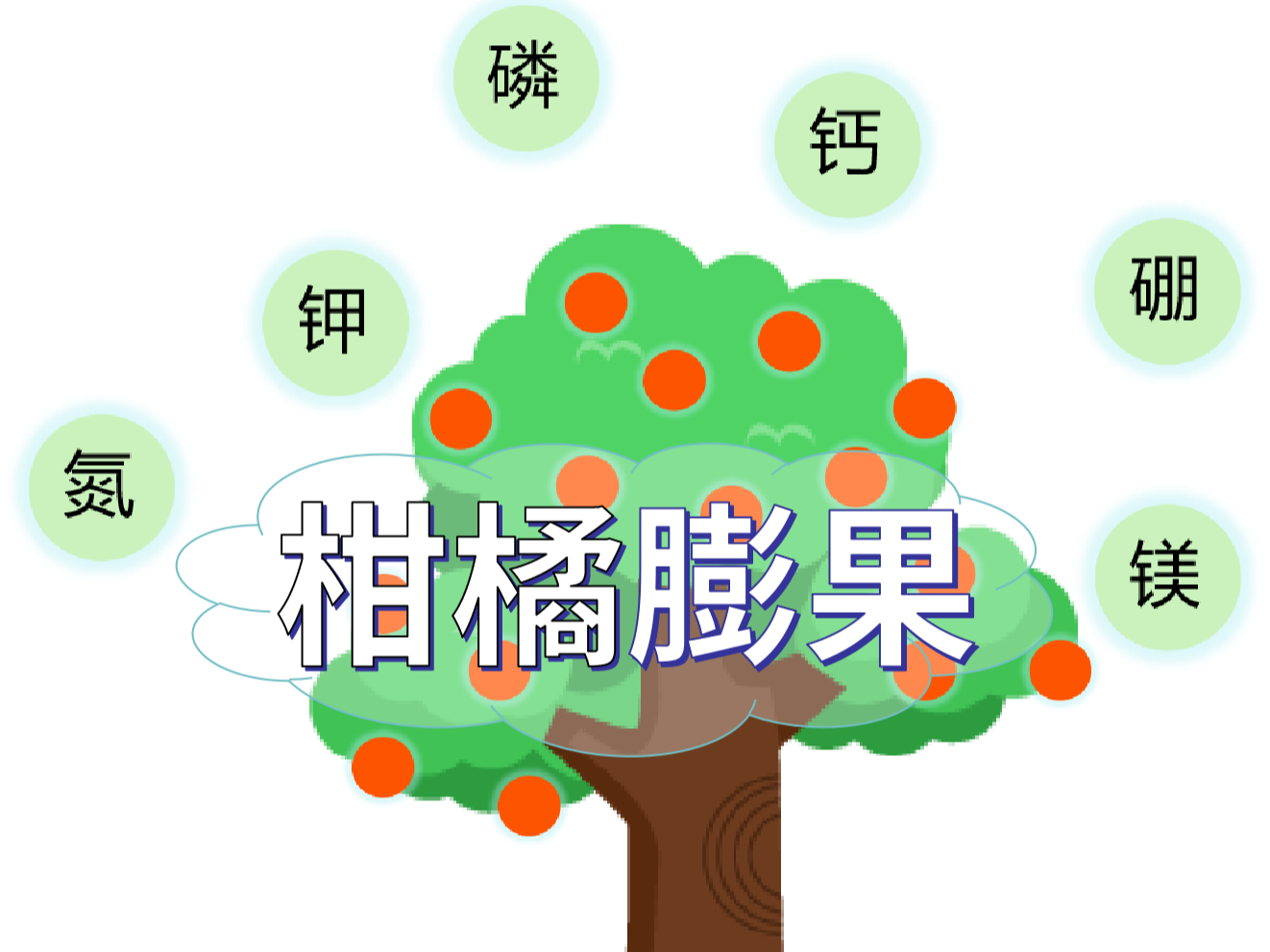 柑橘<i style='color:red'>膨果</i>慢？找準(zhǔn)原因，“對癥下藥”