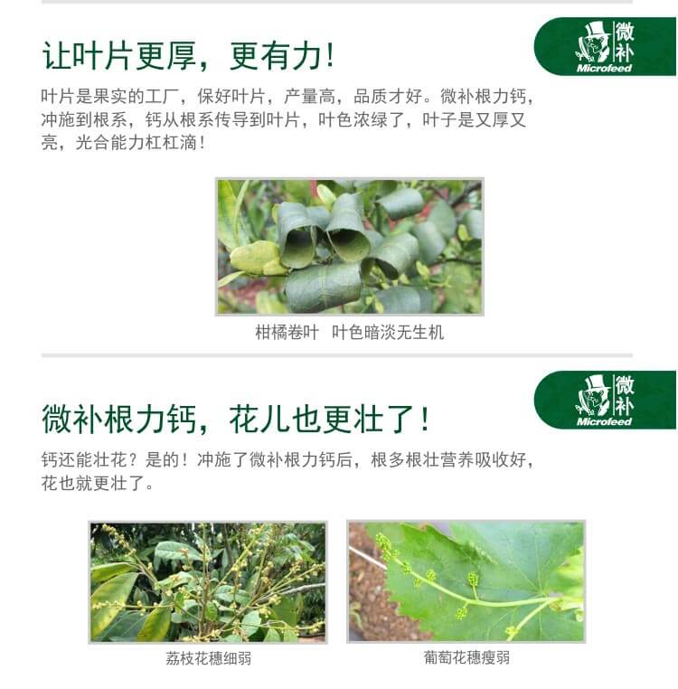 微補(bǔ)根力鈣