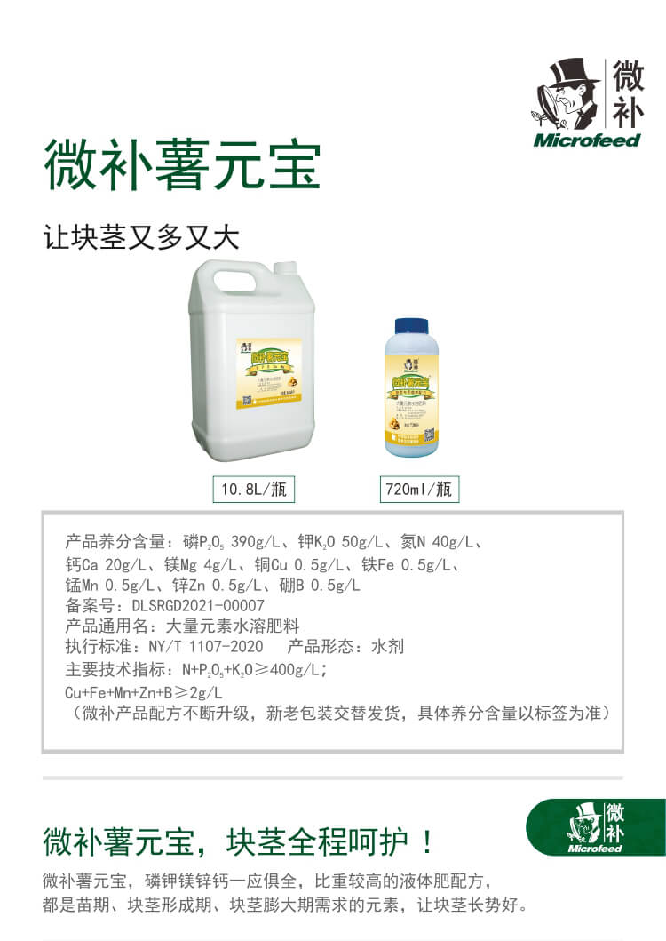 微補(bǔ)薯元寶