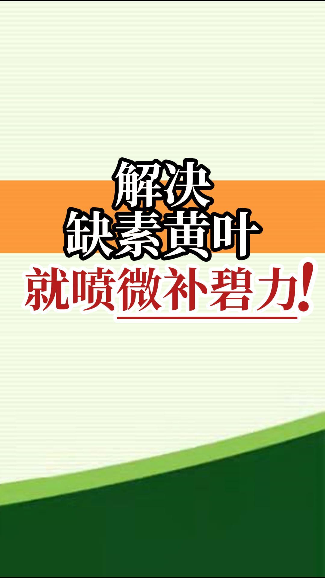 解決缺素黃葉就噴微補(bǔ)碧力！