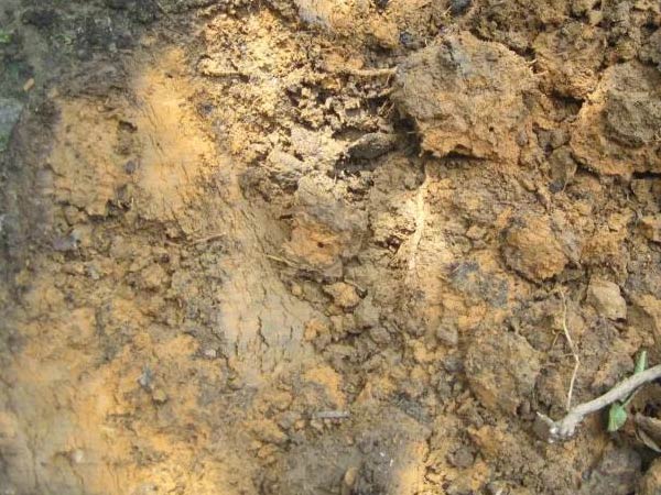 微補(bǔ)三級火箭方案有如此神奇功效？