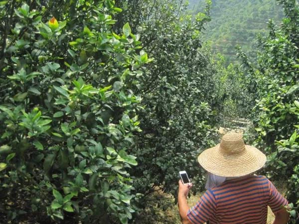 微補(bǔ)三級火箭方案有如此神奇功效？