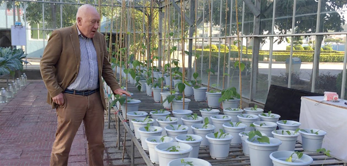 微補研發(fā)中心