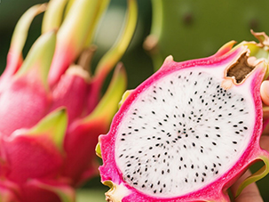 火龍果營(yíng)養(yǎng)方案